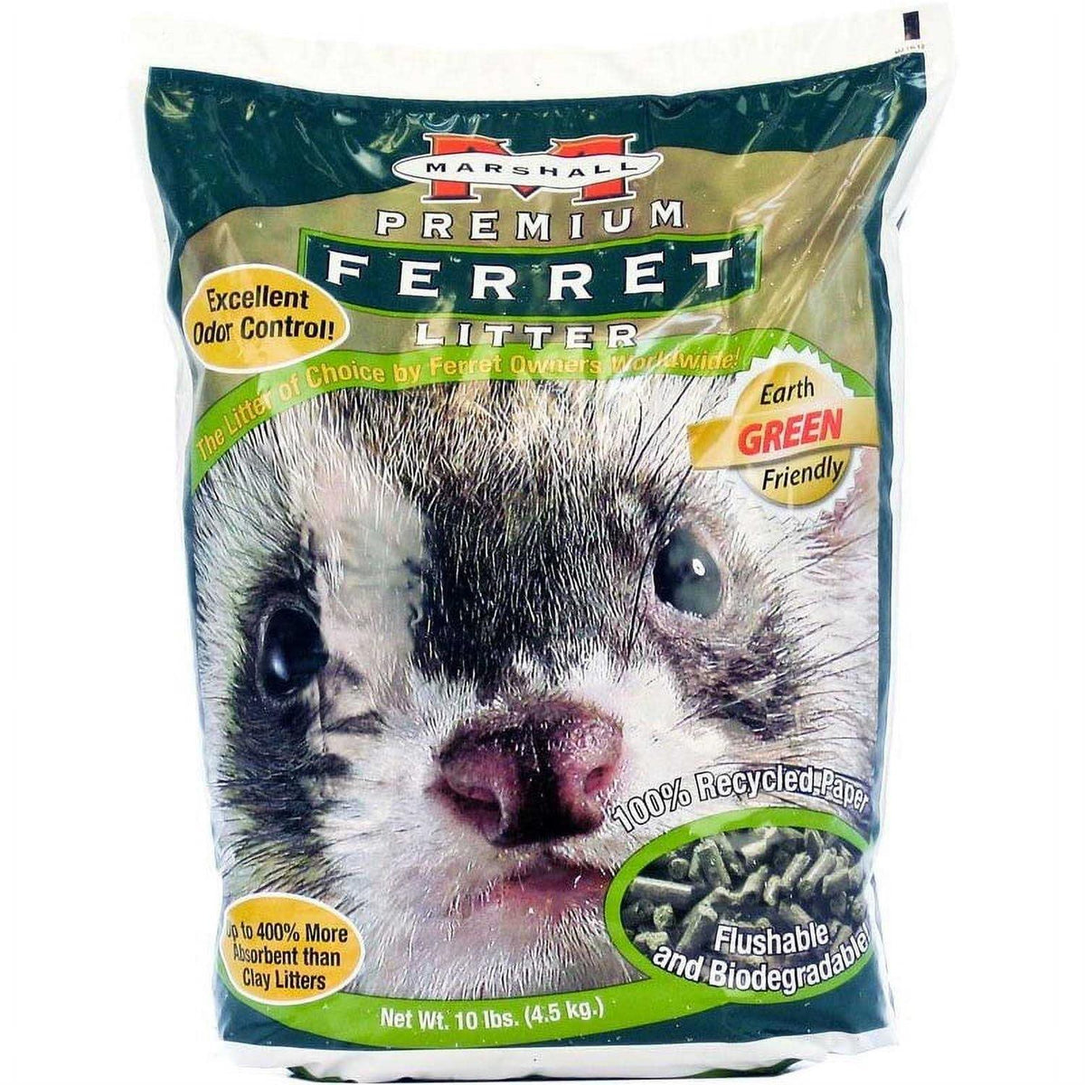 Ferret Litter C134435