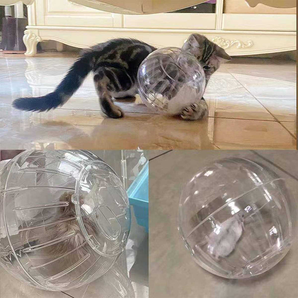 Transparent Hamster Exercise Ball A419