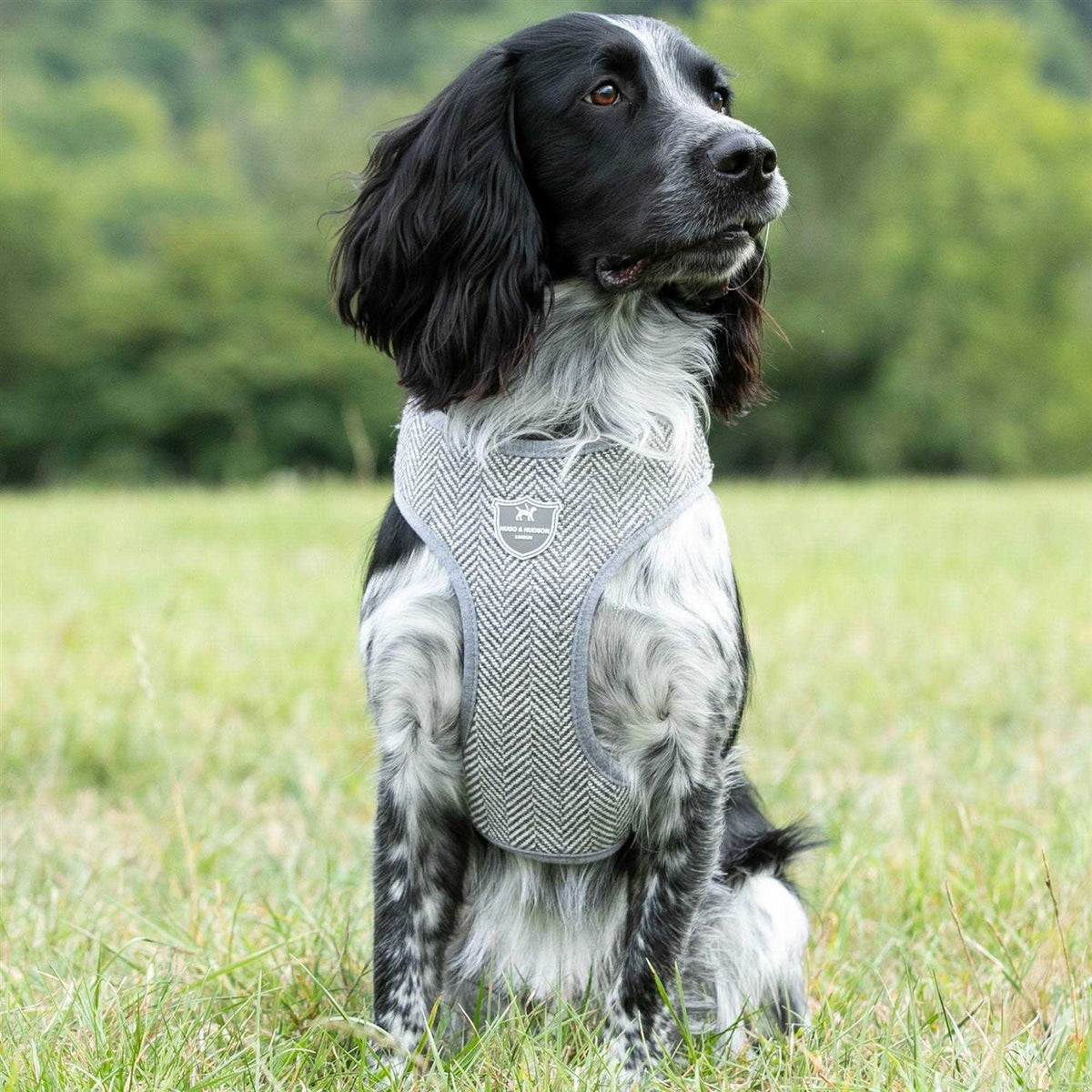 Tweed Dog Harness Vest I41987