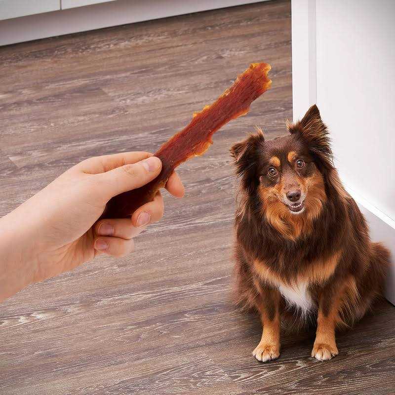Dog Treats E903