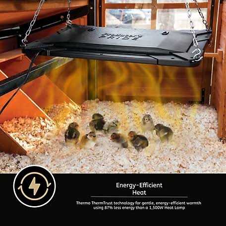 Chicken Coop Brooder and Heater P261