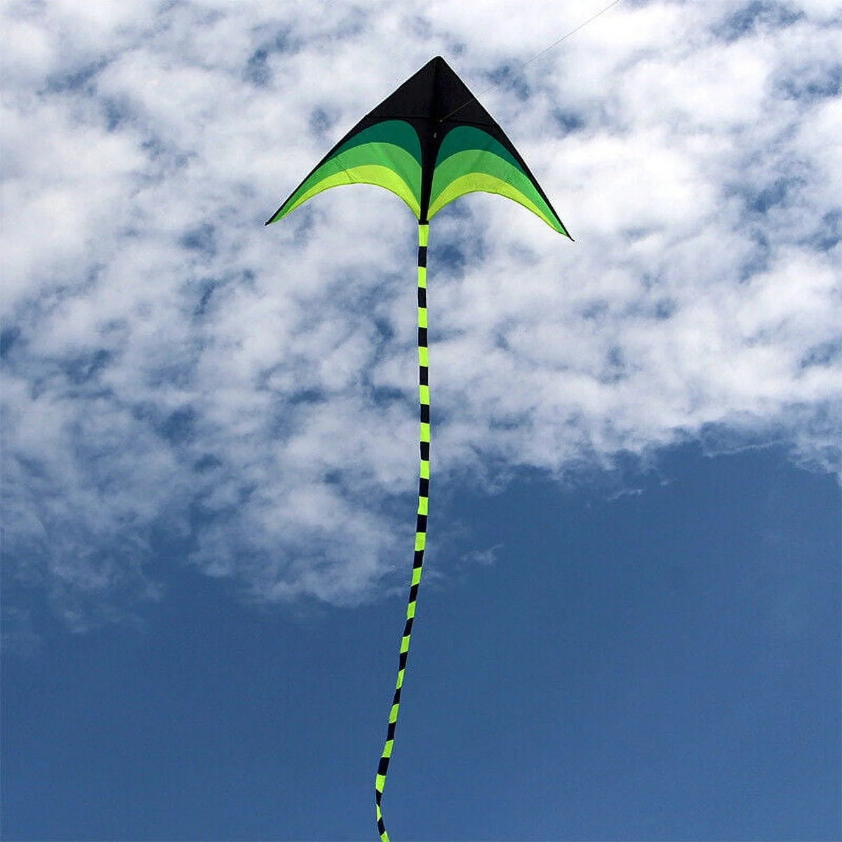 Giant Kite with Tail and String O820871