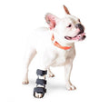 Dog Front Leg Splint with Foam Inserts B629868