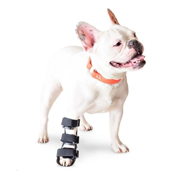 Dog Front Leg Splint with Foam Inserts B629868