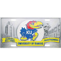 Collector's License Plate J4498
