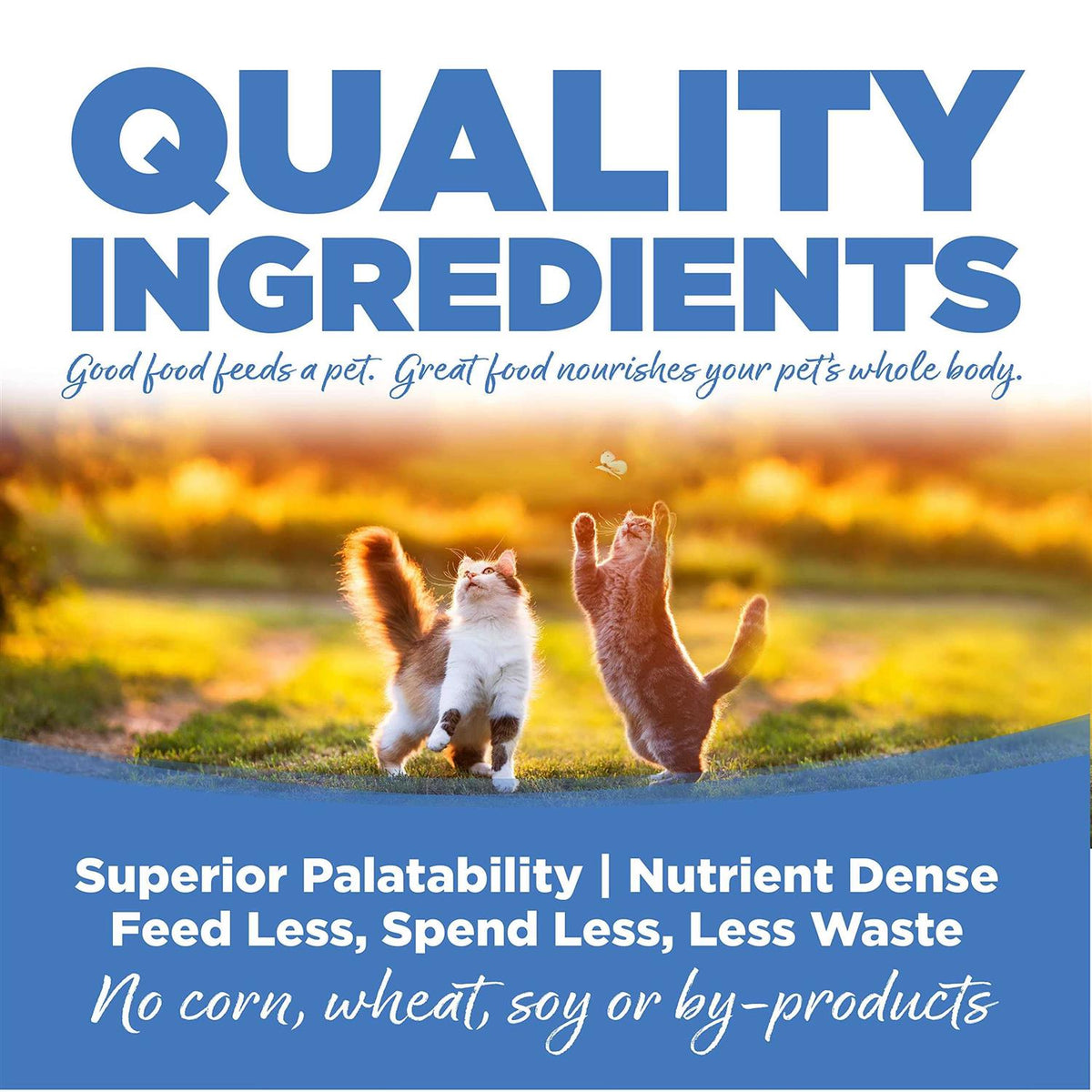 Chicken Salmon Liver Dry Cat & Kitten Food W60442