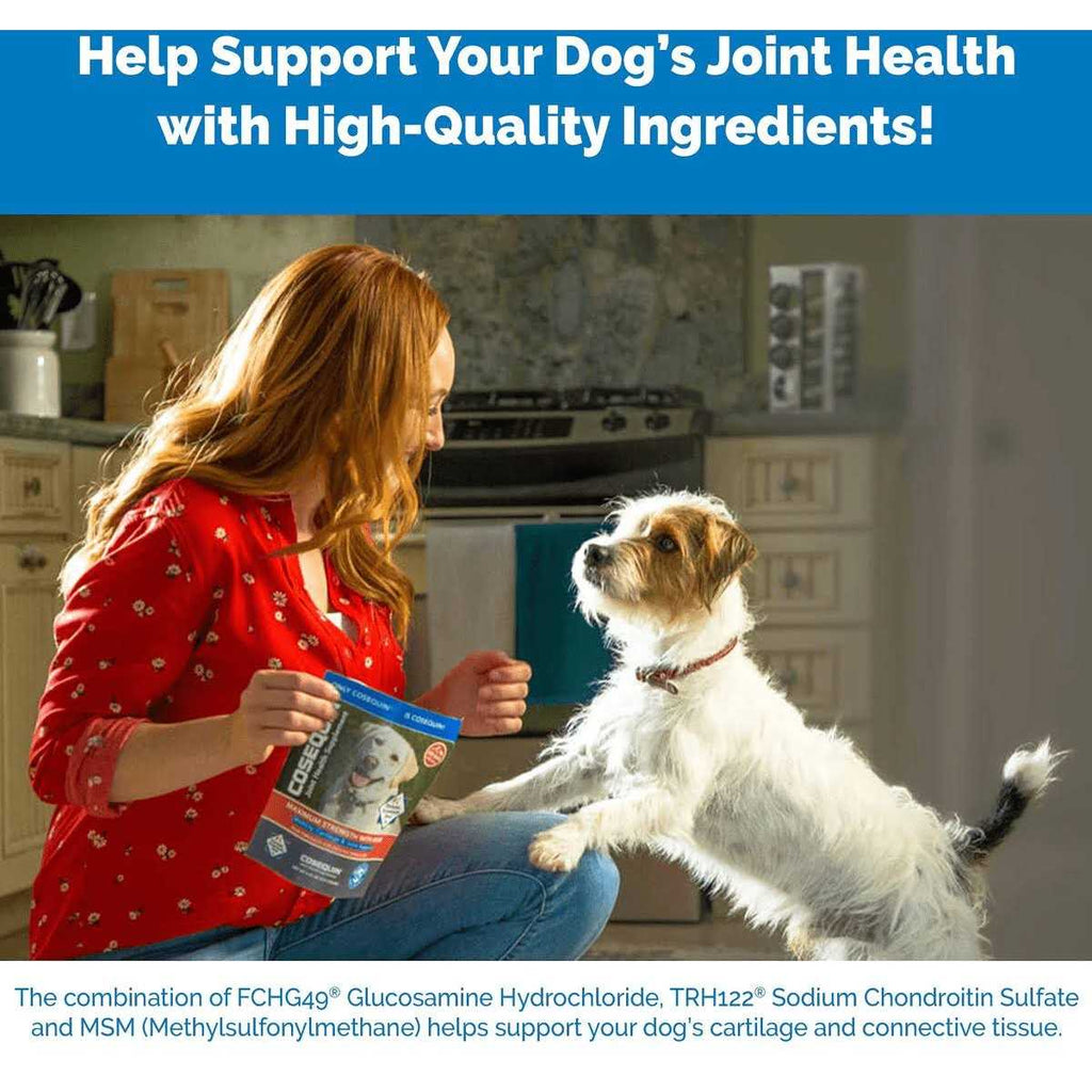 Soft Chews with MSM Plus Omega-3s for Dogs X8130