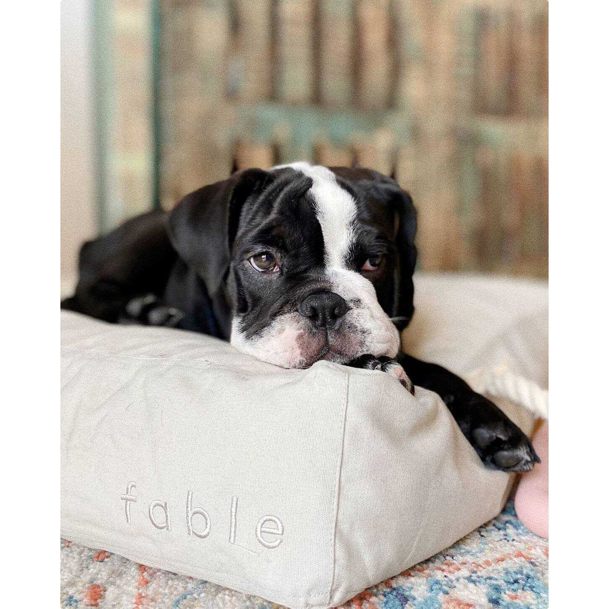 Dog Bed M96759