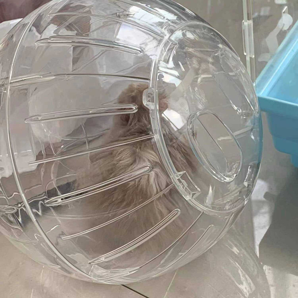Transparent Hamster Exercise Ball A419