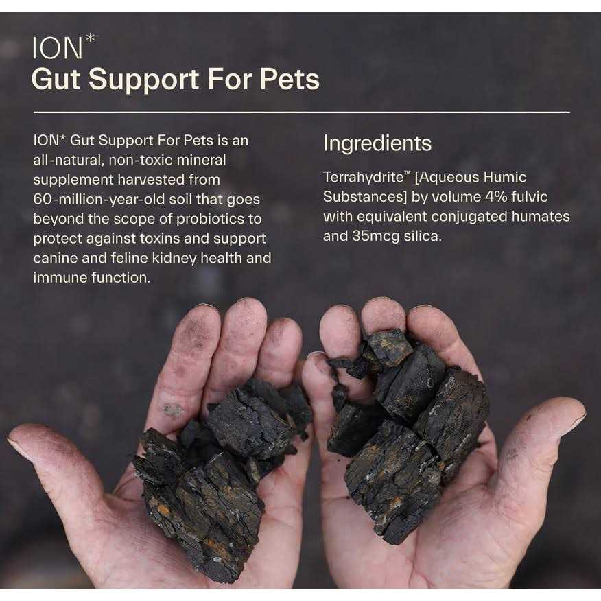 Gut Support For Pets T61661