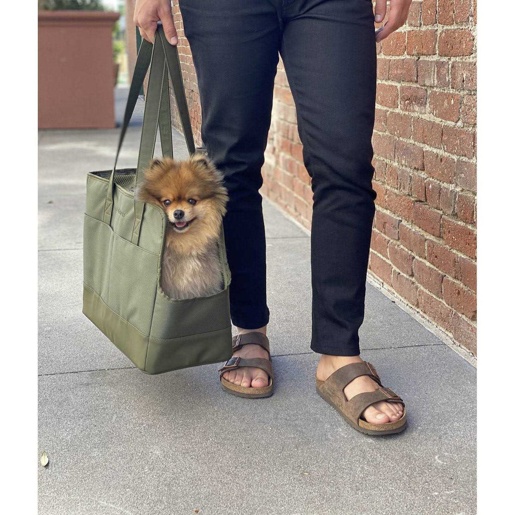 Pet Tote Bag for Small Dogs and Cats G806