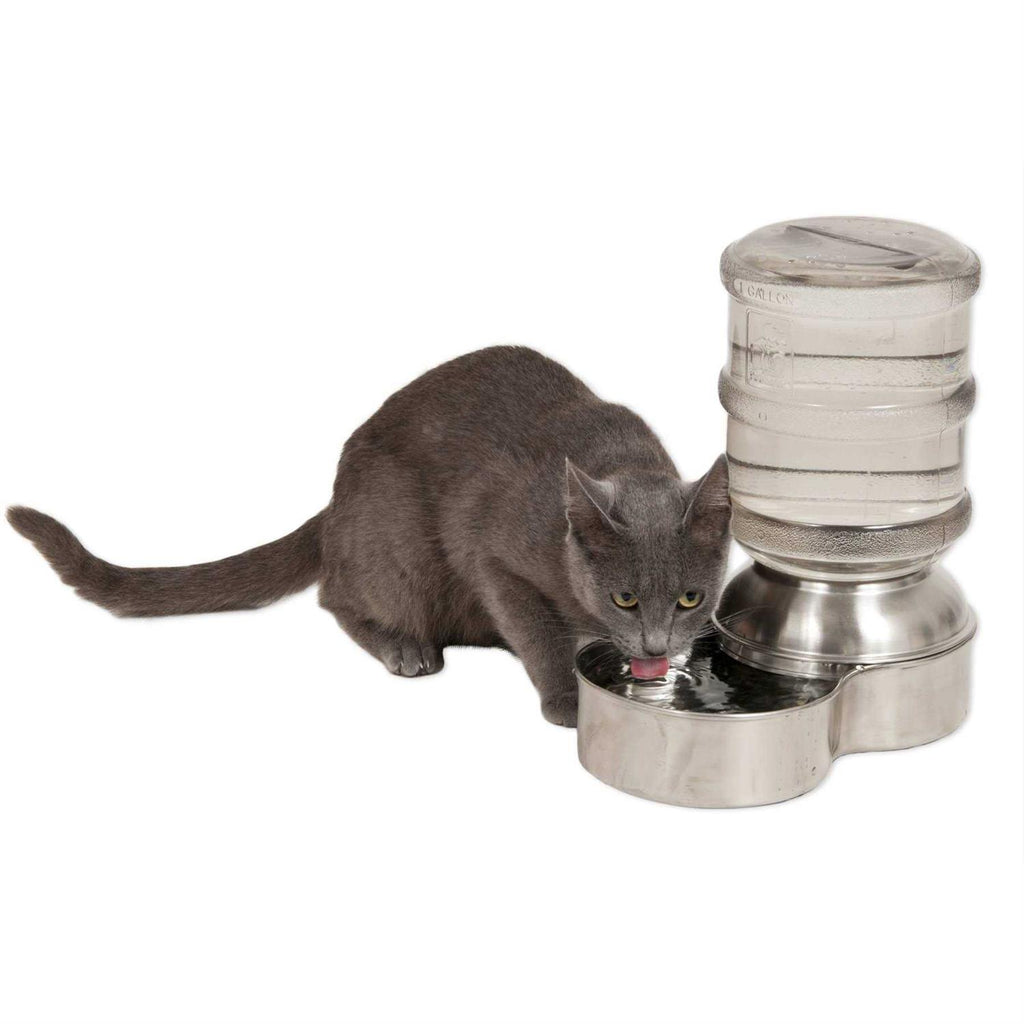 Stainless Steel Waterer K684553