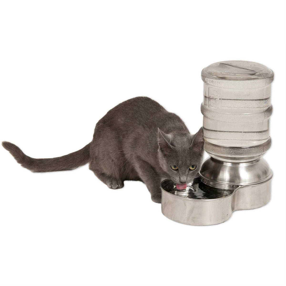 Stainless Steel Waterer K684553
