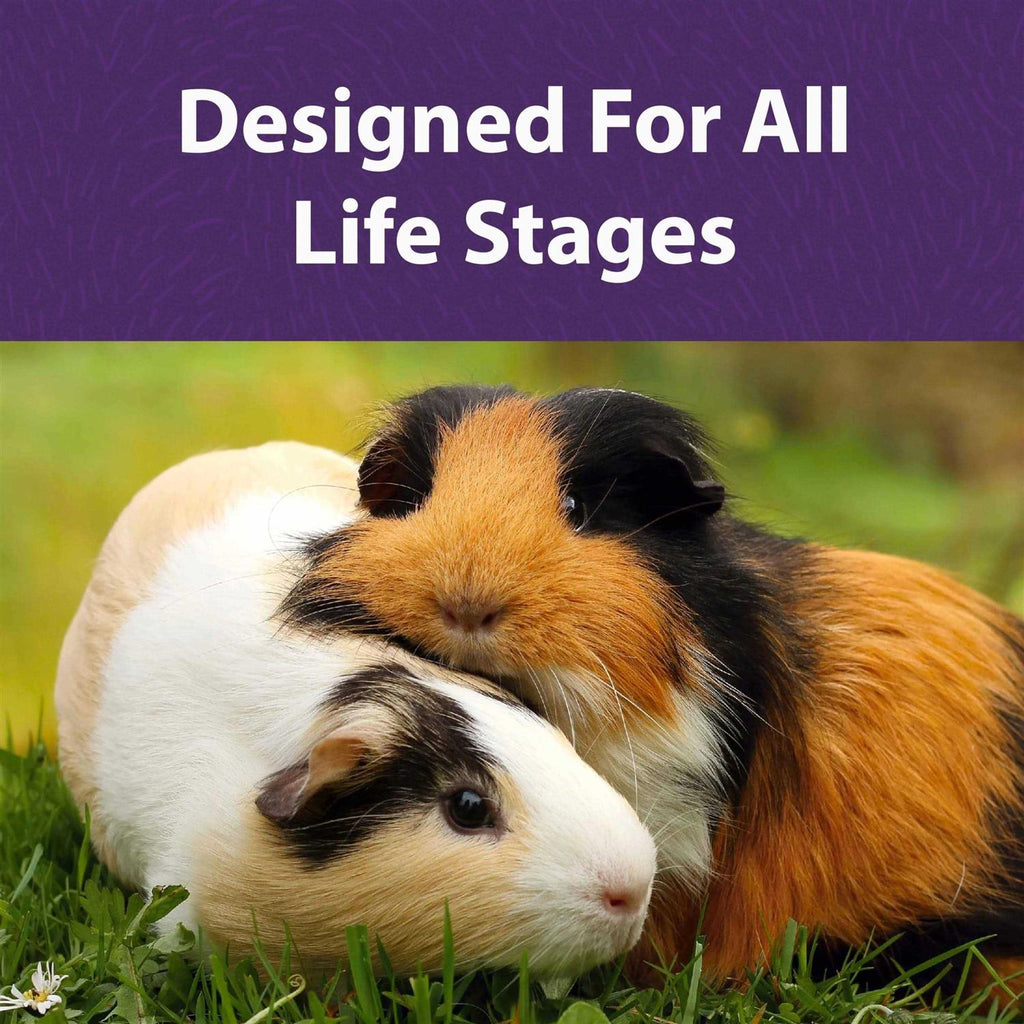 Timothy-Based Guinea Pig Diet S1712
