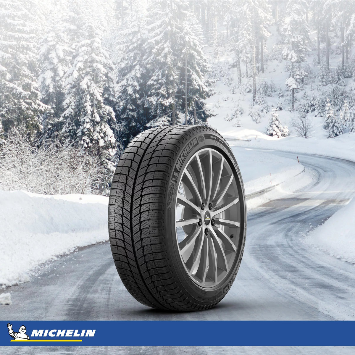 Winter Tires M9349