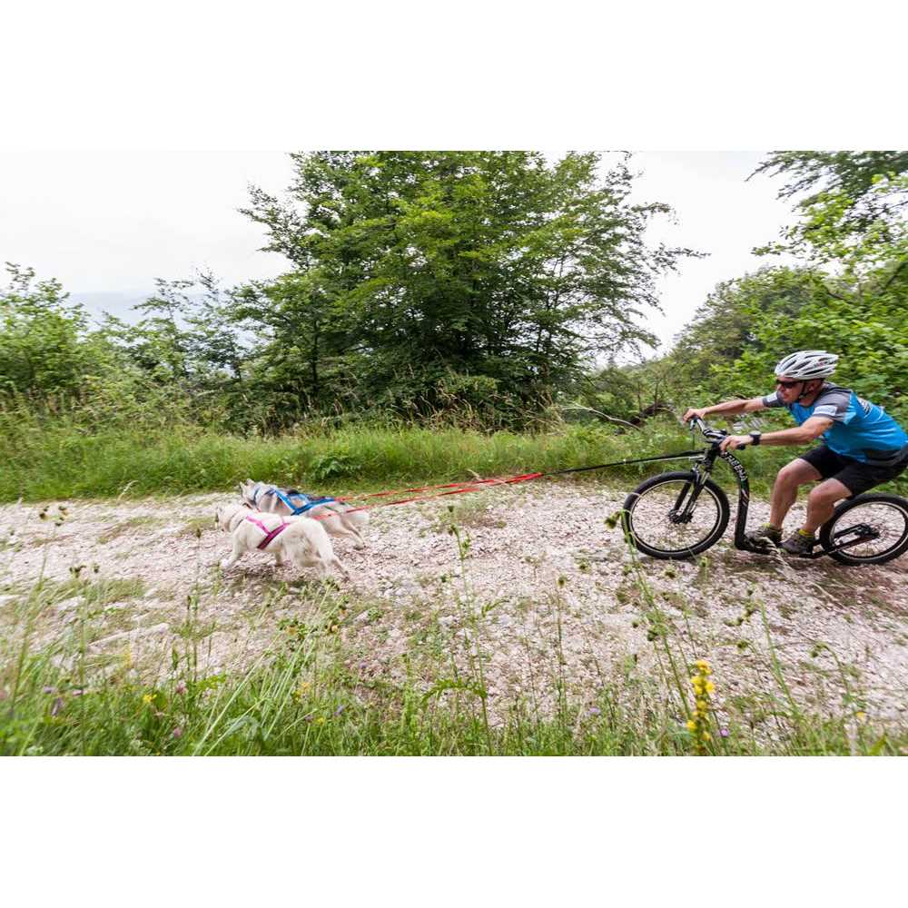 Dog Pulling Harness A55212