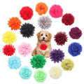 20 Pcs Multi-Color Soft Chiffon Dog Collar Flower Accessory X357144