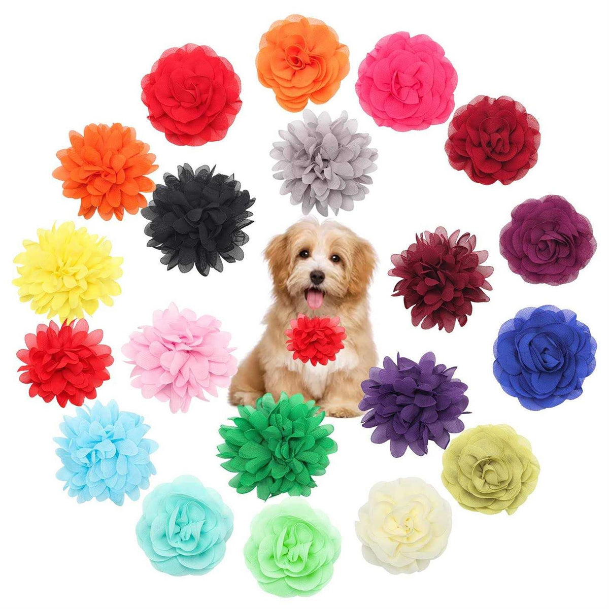 20 Pcs Multi-Color Soft Chiffon Dog Collar Flower Accessory X357144