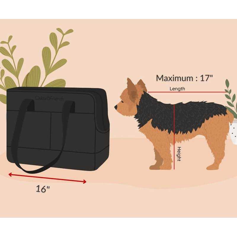 Pet Tote Bag for Small Dogs and Cats G806