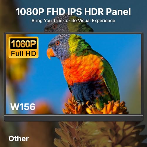 15.6-inch 1080P USB-C HDMI IPS Portable Monitor Q78183