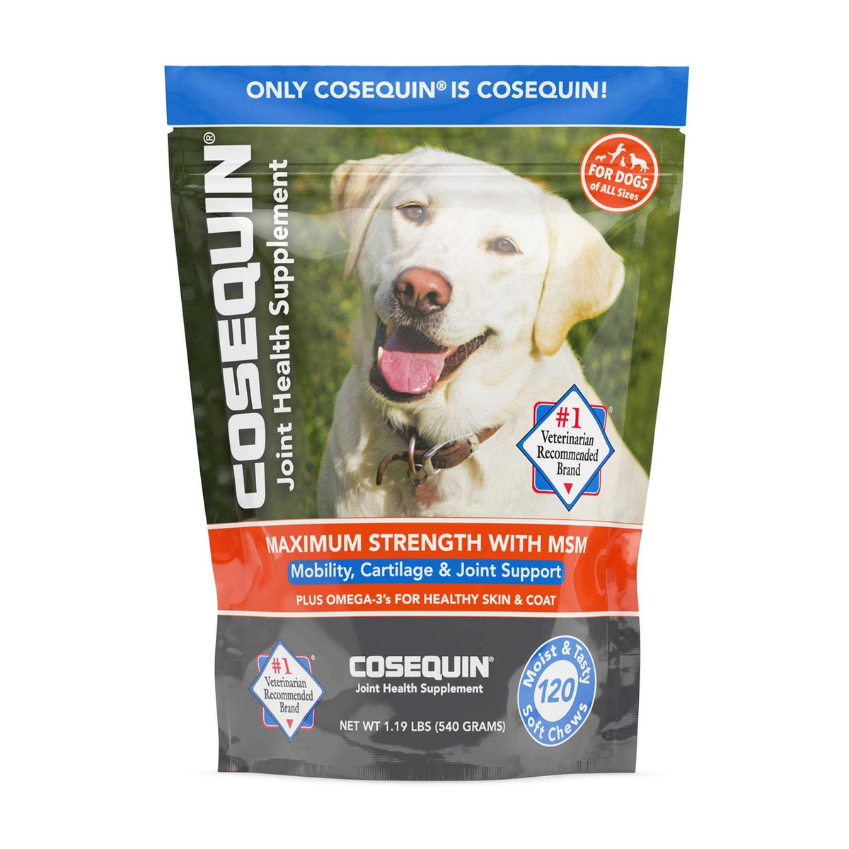 Soft Chews with MSM Plus Omega-3s for Dogs X8130