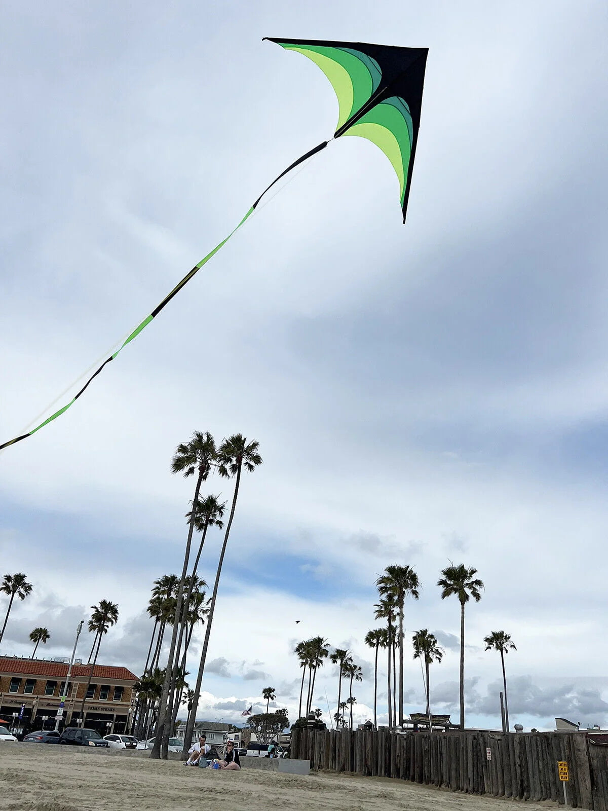 Giant Kite with Tail and String O820871
