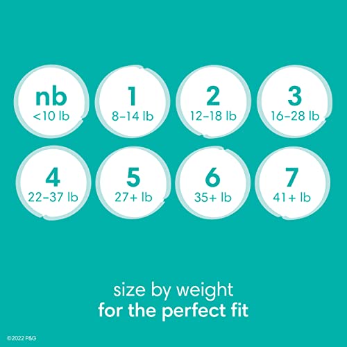 Baby Dry Diapers Size 1 120 Count Disposable Diapers K24912