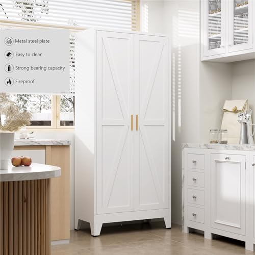 71" Metal Pantry Cabinet with 2 Doors and 4 Adjustable Shelves A3097