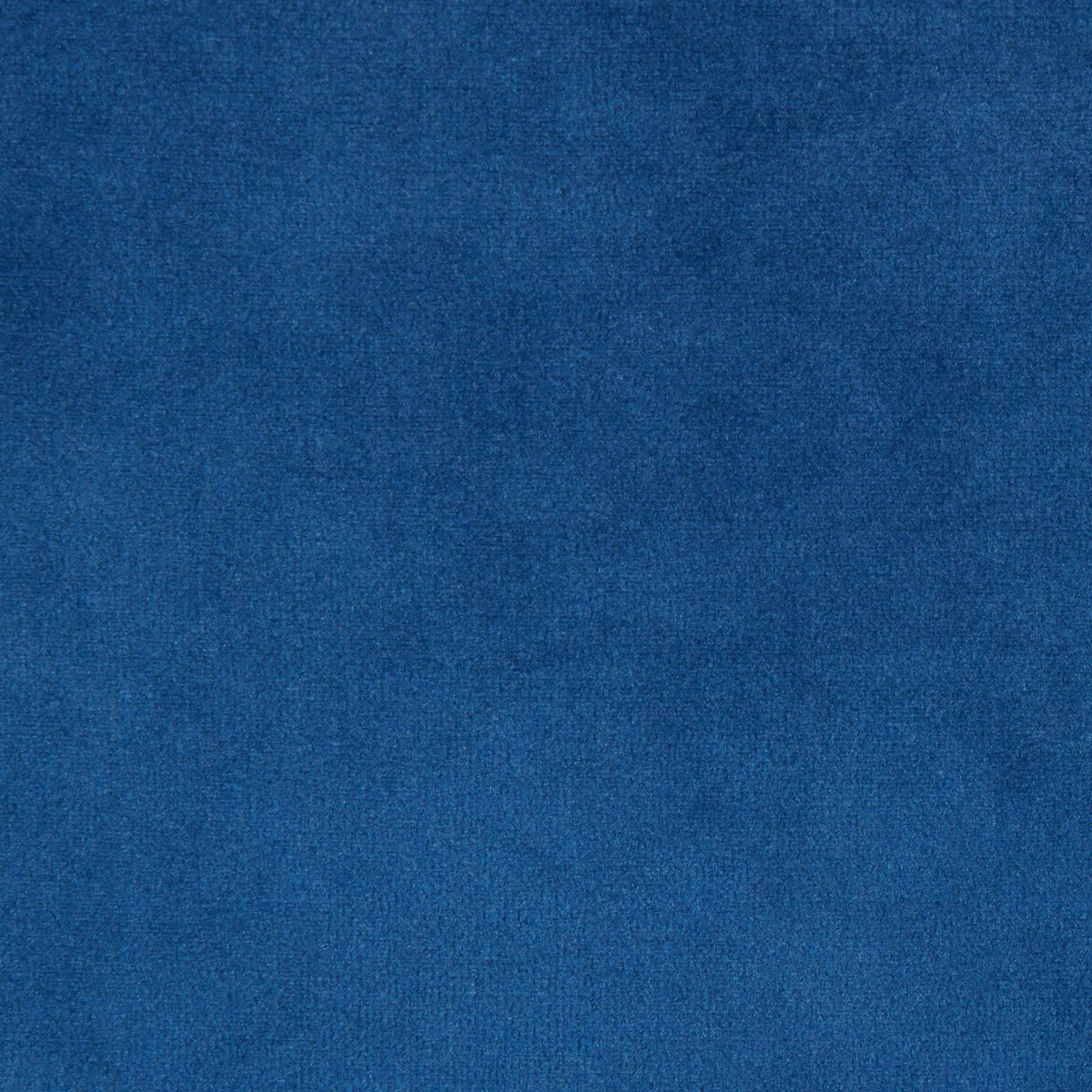 Blue Velvet Accent Chair with Black Wood Legs Y978