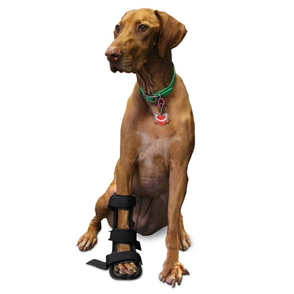Dog Front Leg Splint with Foam Inserts B629868