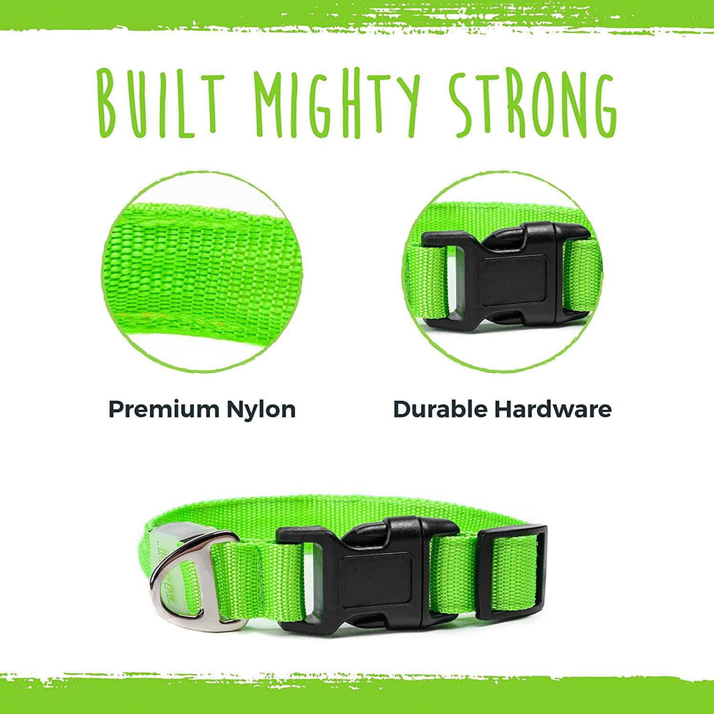 LED Dog Collar USB Rechargeable Z803846