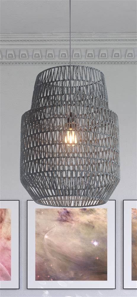 Gray Ceiling Lamp L771