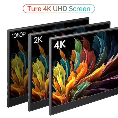 15.6-inch 1080P USB-C HDMI IPS Portable Monitor Q78183