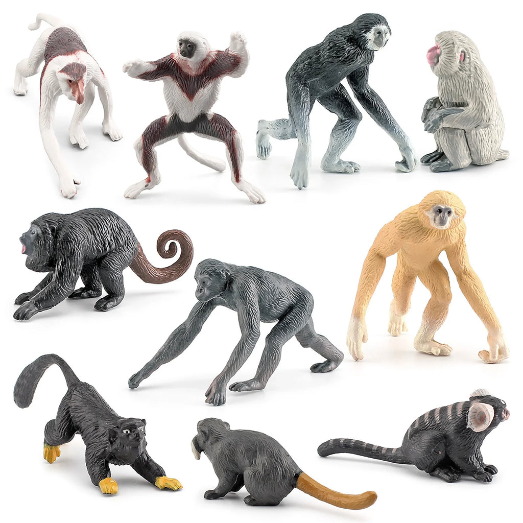 10PCS Simulation Zoo Animal Ornament Model P472669