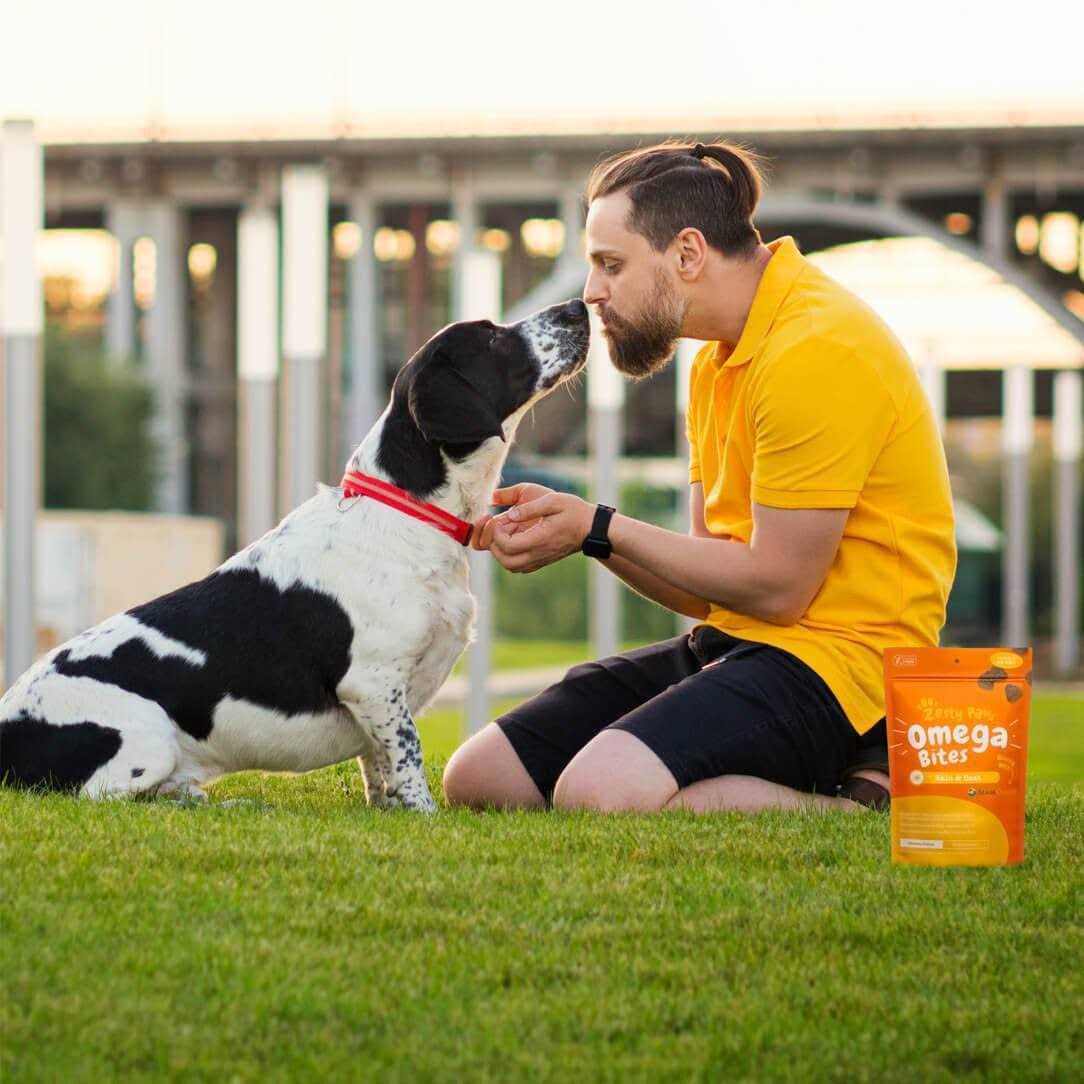 Chicken Flavor Dog Skin & Coat Omega Bites I2977