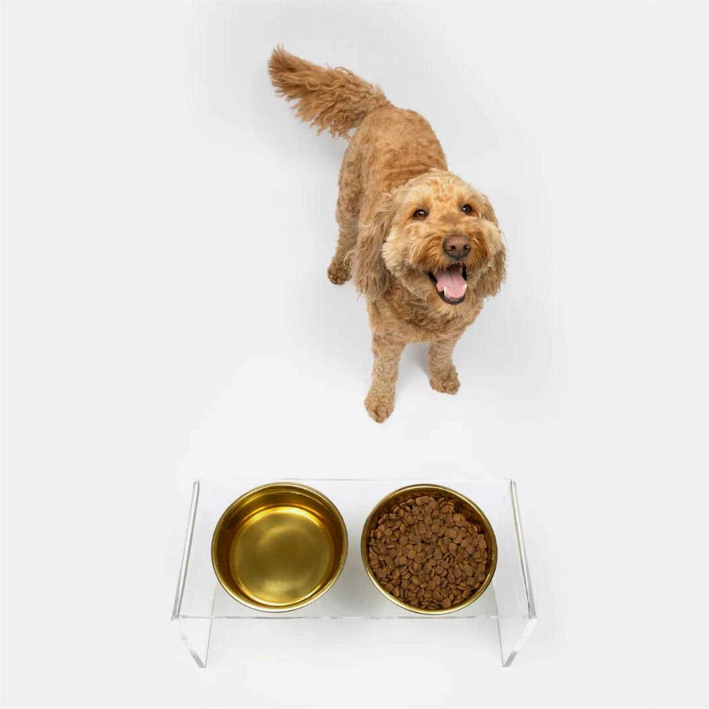 Clear Double Bowl Pet Feeder D553210