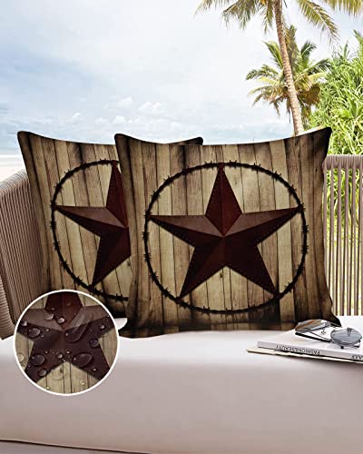 18x18Inch Set of 2 Polyester Waterproof Throw Pillow Covers F349