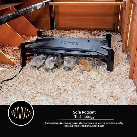 Chicken Coop Brooder and Heater P261