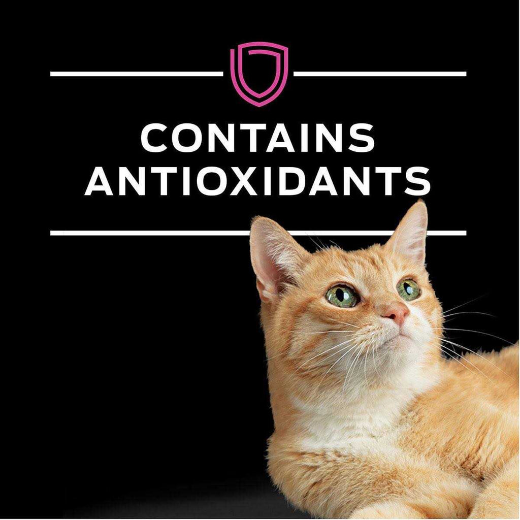 Wet Cat Food K679