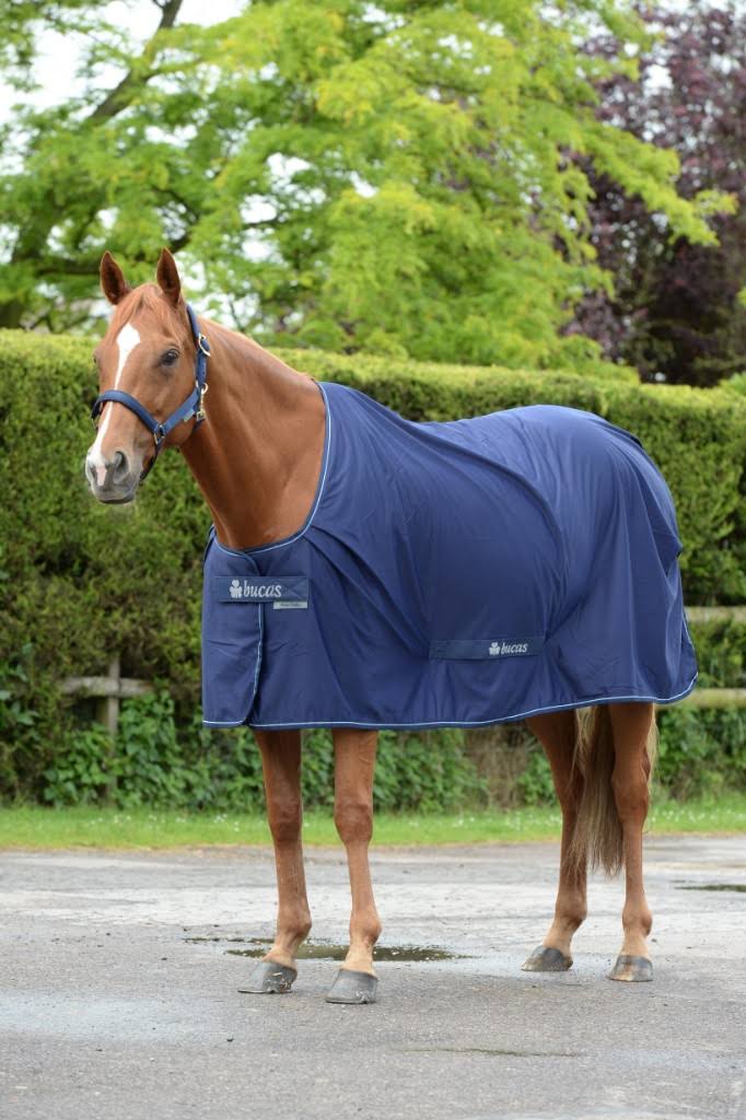 Navy Silver Horse Cooler N4868
