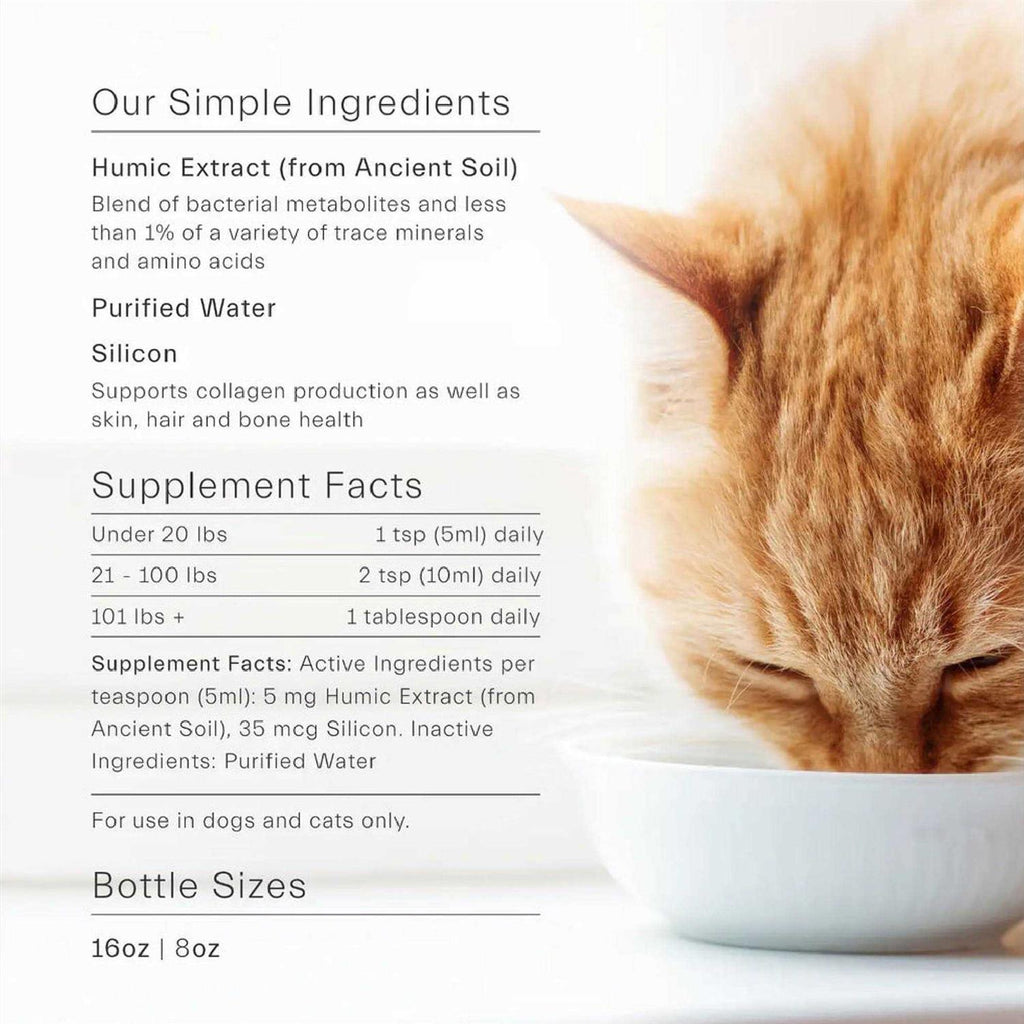 Gut Support For Pets T61661
