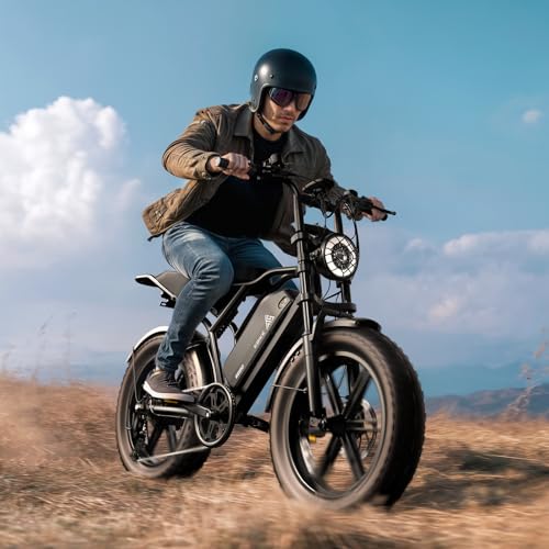 1500W Peak Brushless Motor 28 MPH 60 Miles Fat Tire E Bike with 48V 15Ah Removable Battery 20" Electric Dirt Bike Hydraulic Suspension 7-Speed M846