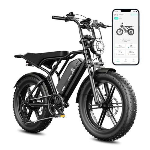 1500W Peak Brushless Motor 28 MPH 60 Miles Fat Tire E Bike with 48V 15Ah Removable Battery 20" Electric Dirt Bike Hydraulic Suspension 7-Speed M846