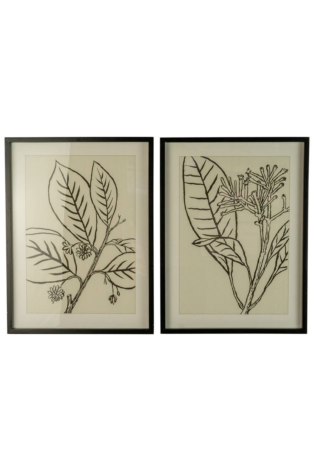 Set of Two Framed Black Leaves Prints Under Glass J704304