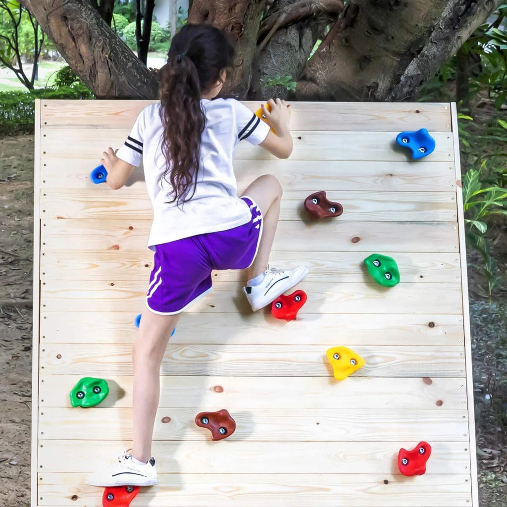 30 Rock Wall Climbing Holds with 2 inch Mounting Hardware P43584