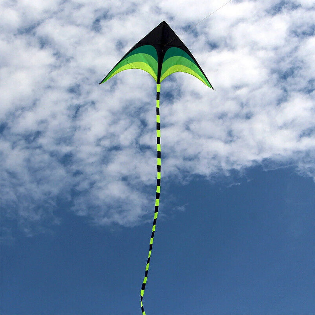Giant Kite with Tail and String O820871