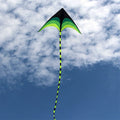 Giant Kite with Tail and String O820871