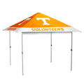 Pagoda Canopy D65652