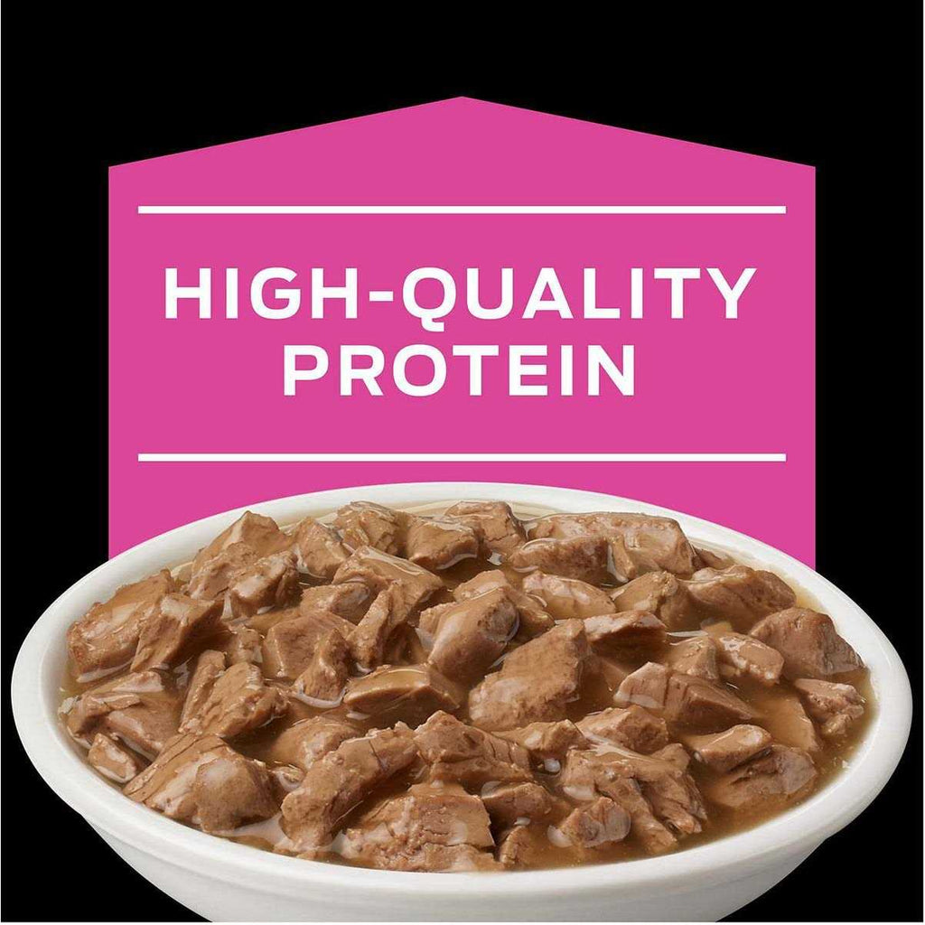 Wet Cat Food K679