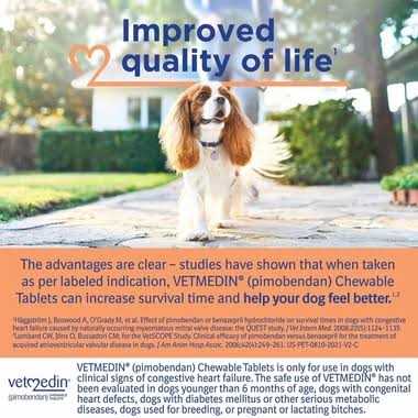2.5mg 50 Chewable Tablets G282732